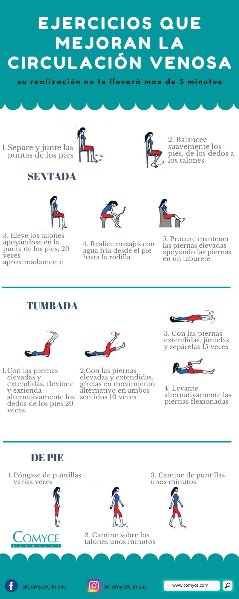 EJERCICIOS CIRCULACION VENOSA
